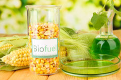 Cleethorpes biofuel availability